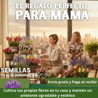 🌺100 SEMILLAS MIXTA DE FLORES + GUIA DE CUIDADO🌼
